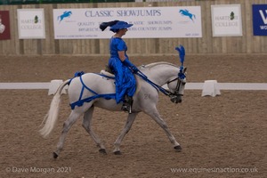 Lusitano Breed Society of Great Britain Show - Hartpury College - 27th June 2009